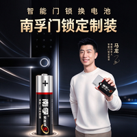 南孚 定制装5号7号正品电子锁电池耐用家庭装碱性AA