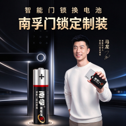 南孚 定制装5号7号正品电子锁电池耐用家庭装碱性AA