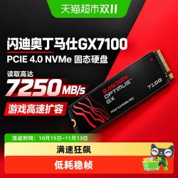 闪迪 GX7100固态硬盘Optimus M2接口1TB笔记本电脑台式机SSD硬盘PC