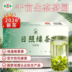 日照绿茶 2026新茶横山天湖茶浓香型板栗香经典口粮茶尝鲜装20g