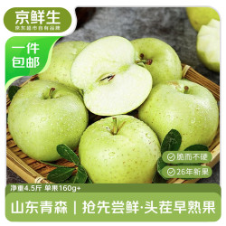 京鲜生 山东雀斑王林苹果 净重4.6斤 单果160g+ （果径75mm+） 源头直发 王林苹果丨净重4.6斤 单果160g+