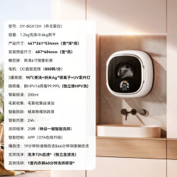 大宇 壁挂式洗衣机迷你小型内衣裤婴儿超薄洗烘一体机小壁虎BGX12H