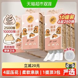 清风 X 卡皮巴拉 亲肤系列 悬挂式抽纸 4层*250抽*10提(170*132mm)