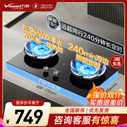 万和 JZT-01-B9DS 5.2kW猛火 70%热效率 天然气 燃气灶