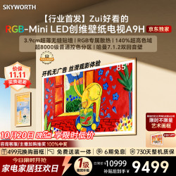 创维 85A9H 液晶电视 85英寸 普通挂架