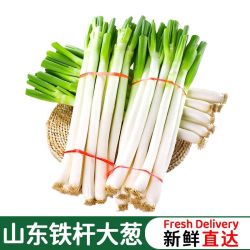 村婆婆 8斤山东大葱新鲜大葱去皮去半叶煎饼卷大葱蘸酱自食香葱4斤
