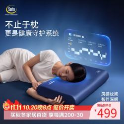 舒达 记忆棉智能枕头护颈椎专用睡眠AI监测成人家用礼盒装10cm 循风枕