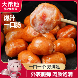 大希地 爆汁一口肠100g*8袋   火山石烤肠小肉枣肠  早餐解馋休闲零食