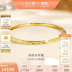 金至尊 黄金手镯碎碎冰999足金手镯金镯子生日礼物计价60mm-13.46克