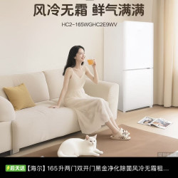 海尔 小冰箱小奶芙165L