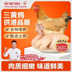 温氏 三黄鸡 800g