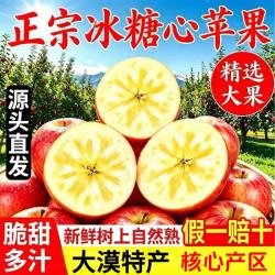 京觅 甘肃大漠冰糖心苹果净重8.5斤装 单果80mm+新鲜水果源头直发