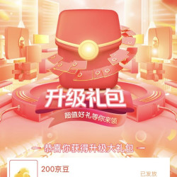 荣耀京东自营旗舰店