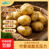 新鲜黄心小土豆  农家自种现挖 带箱2斤