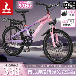 凤凰 山地自行车男女 星际 粉紫 16寸
