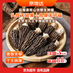 京地达 云南深山羊肚菌干货 8-10cm净重158g 短柄无泥源头直发包邮