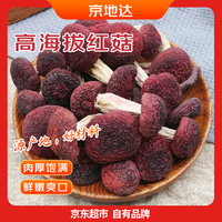 京地达 云南野生红菇干货 净重100g 正宗营养菌菇香菇特产源头直发包邮