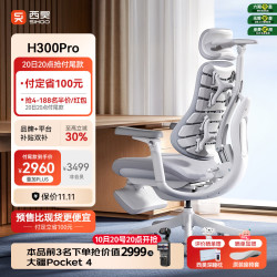 西昊 H300Pro 人体工学椅 云影白
