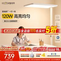童视界 普瑞红光护眼大路灯 全光谱 120W 落地台灯