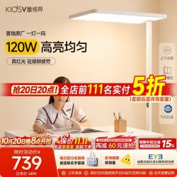 童视界 普瑞红光护眼大路灯 全光谱 120W 落地台灯
