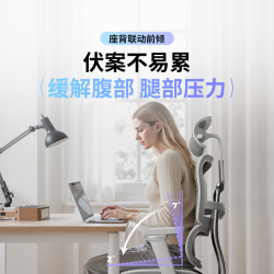 保友办公家具 保友金豪E2 Pro人体工学椅 办公椅电脑椅 银白网