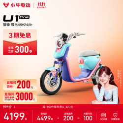 小牛电动 U1 one 电动自行车 48V24Ah锂电