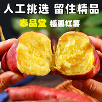 正宗陕西板栗红薯2斤 粉糯香甜新鲜现挖红薯京东买菜超市生鲜蔬菜 板栗红薯2斤