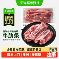 88VIP:澳贝美 猫超臻选澳洲安格斯谷饲牛肋条800g*1盒