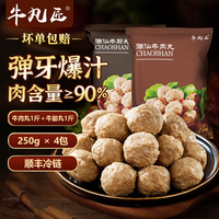 牛凡匠 潮汕牛肉丸手打正宗汕头特产牛筋丸火锅食材丸料关东煮麻辣烫食材 牛肉丸1斤+牛筋丸1斤（250g*4包）