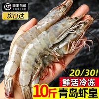 虾有虾途 青岛大虾新鲜对虾3斤