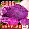 鲁禧海岸 紫薯 S+臻选果中果 4.5斤 (150-400g)