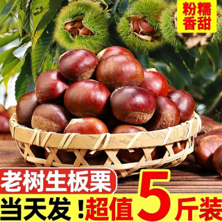 黄六爷 丹东板栗 32mm+ 5斤装