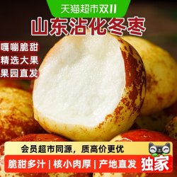 末浅 猫超臻选末浅正宗陕西大荔冬枣新鲜应季水果脆甜大枣子产地直发