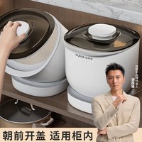 移动端：佳帮手 米桶橱柜米缸家用防虫防潮储存罐杂粮大米面粉食品级密封米箱12斤