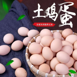皖南小镇 正宗土鸡蛋新鲜可生食鸡蛋送货上门30枚1200g新鲜产地直发