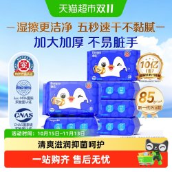 德佑 湿厕纸