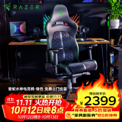 雷蛇 水神电竞椅 电脑游戏舒适人体工学椅子 记忆棉头枕 4D扶手 绿色 水神（雷蛇绿 / 头枕）