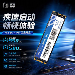 CHU ZUN SSD固态硬盘 M.2接口(SATA总线) CS201电脑升级2280 512G