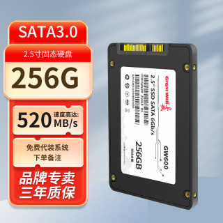 长城 固态硬盘2.5寸SATA3.0接口GW600 SSD台式笔记本通用硬盘GW600S 带独立缓存游戏固态带DDR缓存 GW600-256GB
