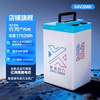 88VIP：新途动力/XINTU POWER 电动车电池64V28A 锂电池