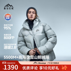 喜马拉雅 玉龙2.0鹅绒服800蓬95绒-20°C雪山攀登专业户外防风羽绒服 太空灰 2.0新款800蓬95鹅绒-20°C L 充绒量210g