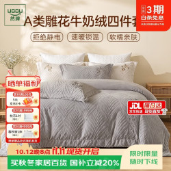 然牌 牛奶绒四件套冬季防静电双面加绒加厚保暖床单被套220*240cm 霏烟灰