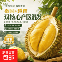 进口现货金枕头榴莲老树果 金枕榴莲净重3-4斤