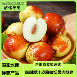 优选 新鲜山东 沾化冬枣 脆甜多汁 果园直供 极速达 净重4.5-5斤 单果10-15g