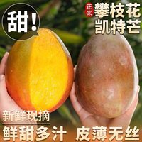 移动端：粮蔬田 正宗四川攀枝花凯特芒果新鲜当季整箱水果现摘大青忙批发包邮