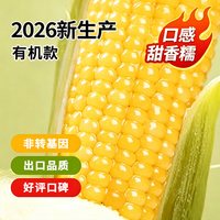 移动端：析芮 东北玉米糯玉米新鲜真空装黄糯玉米棒香甜软糯粘有机苞米10根