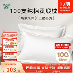 然牌 a类酒店白色枕套 100支长绒棉贡缎枕头套一对装 48x74cm