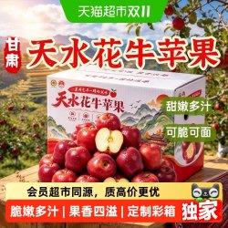 好鲜市集 甘肃天水花牛苹果彩箱4.5斤单果170g+