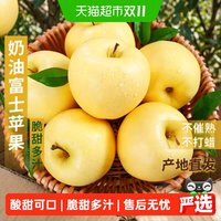 88VIP：于甄鲜 山东烟台丑奶油富士苹果4.5斤中果75mm+