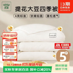 然牌 纤维被子 A类51%大豆纤维被四季春秋被 星级酒店被芯220x240cm